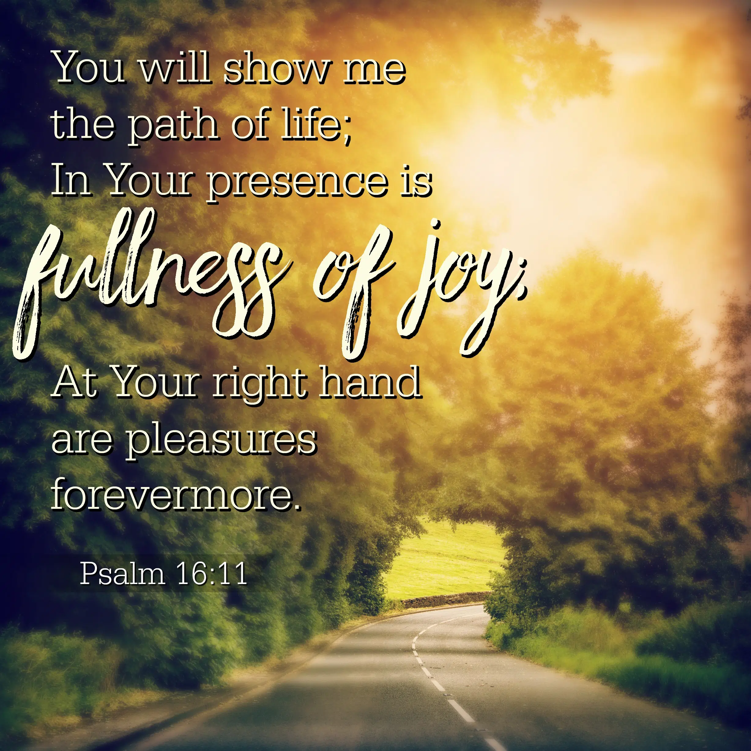 Psalm 16 Message