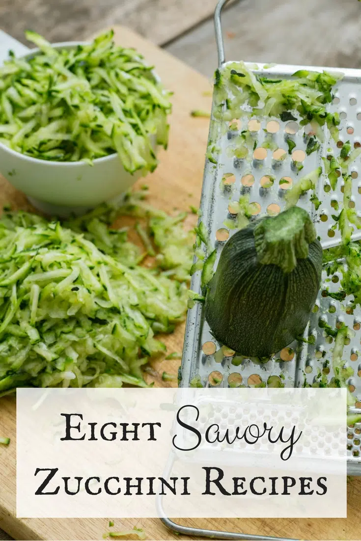 Incorporate zucchini into your main dish with these healthy savory zucchini recipes.
