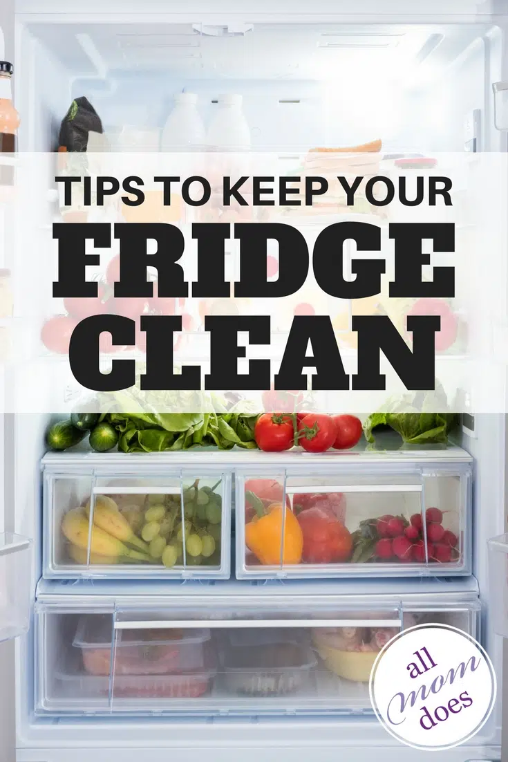 Tips to keep your refrigerator clean. #springcleaning #housekeeping
