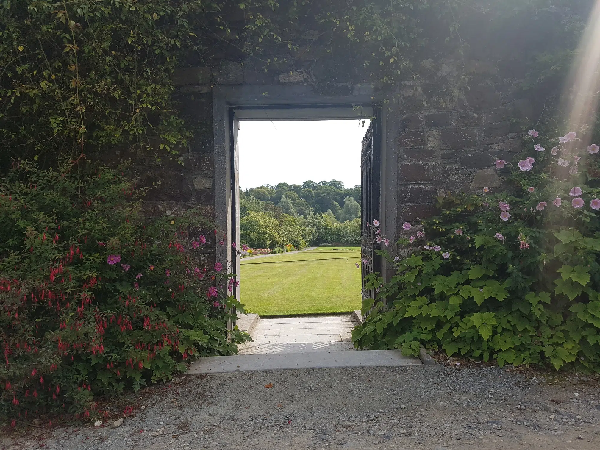 Success of  Waterford Greenway leads to extended opening of Mount Congreve Gardens.