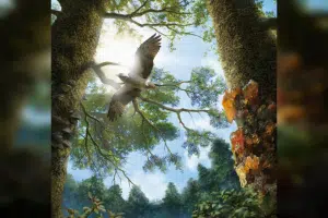 Prehistoric Bird illustration based on fossil - Ryan McKellar Royal Saskatchewan Museum