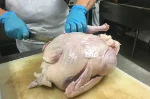 Prepping turkey