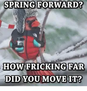 spring-forward