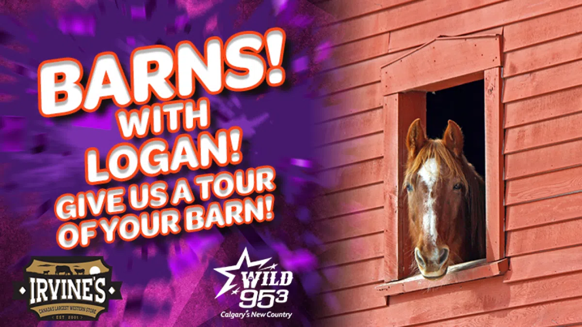 BARNS! With Logan WILD 953 Calgary's New Country
