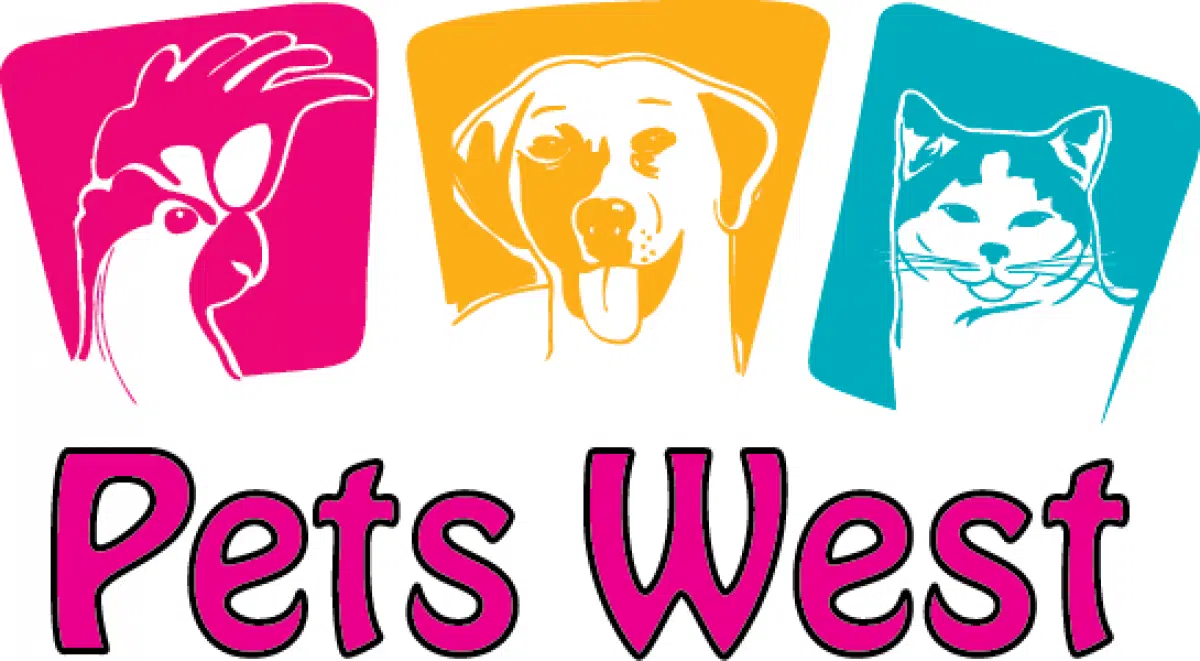 Pets West 100.3 The Q!