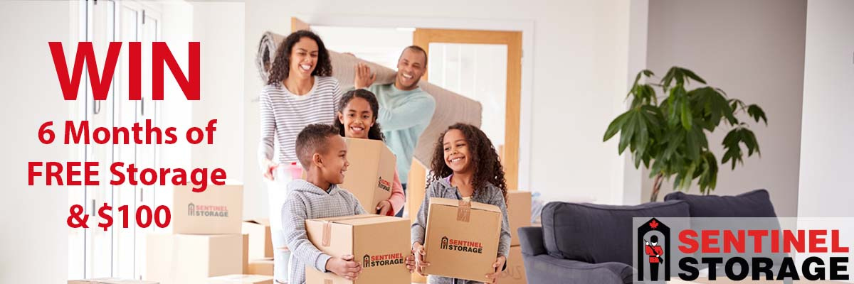 Sentinel Storage - FREE 6 MONTHS + $100! - Vimarsana News
