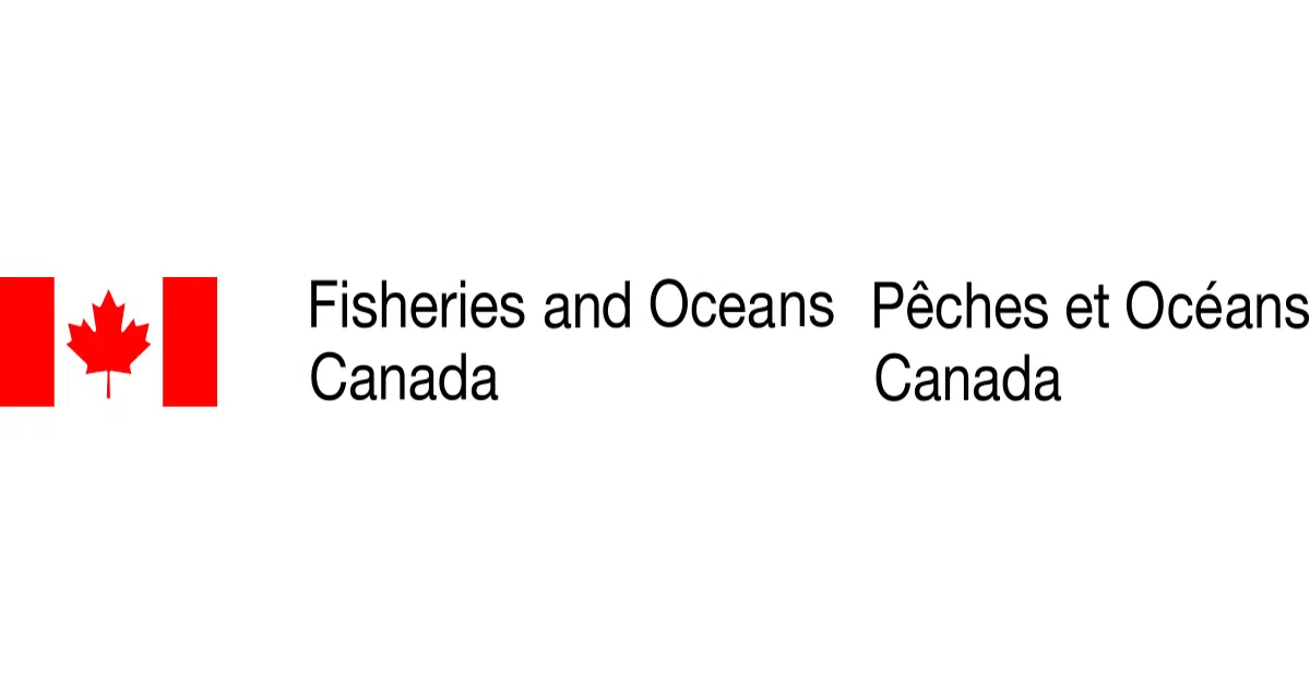 Canadian Fisheries Officers Launch Mission To Combat Illegal Fishing ...