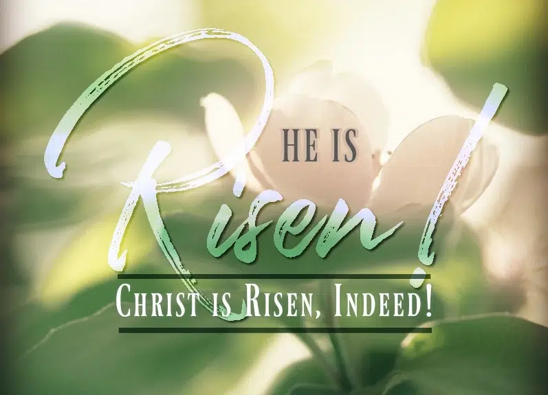 8 Day Easter Devotional He Is Risen Day 8 Praise 1065