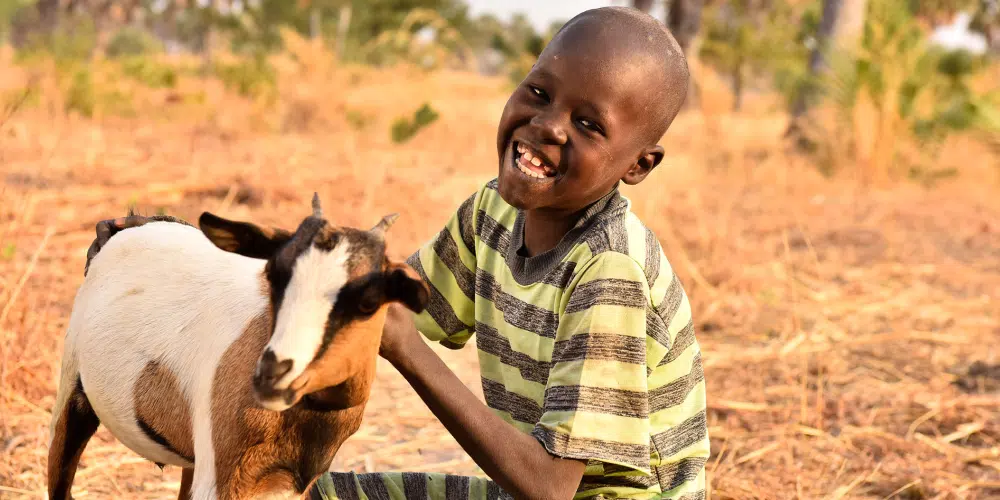 Catch the Spirit With The World Concern Global Gift Guide Goats and