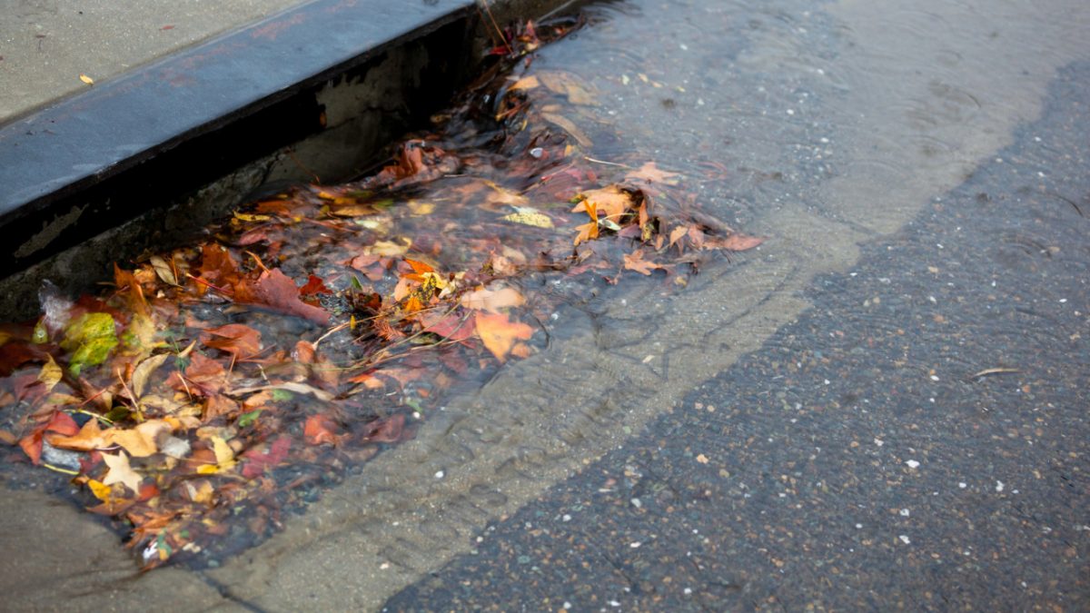 Comfort 101: Outside Drain Care – The Root of the Problem - Vimarsana News
