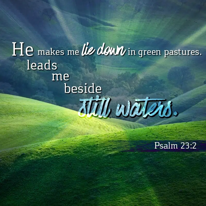 Psalm 23:2 | KCIS 630