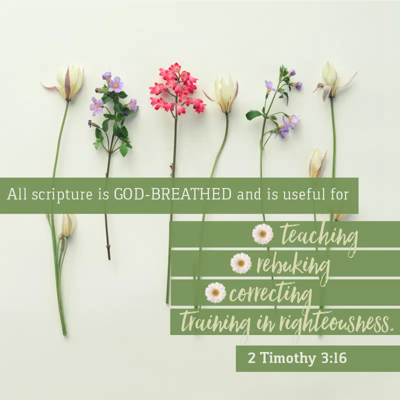 Image result for 2 timothy 3:16