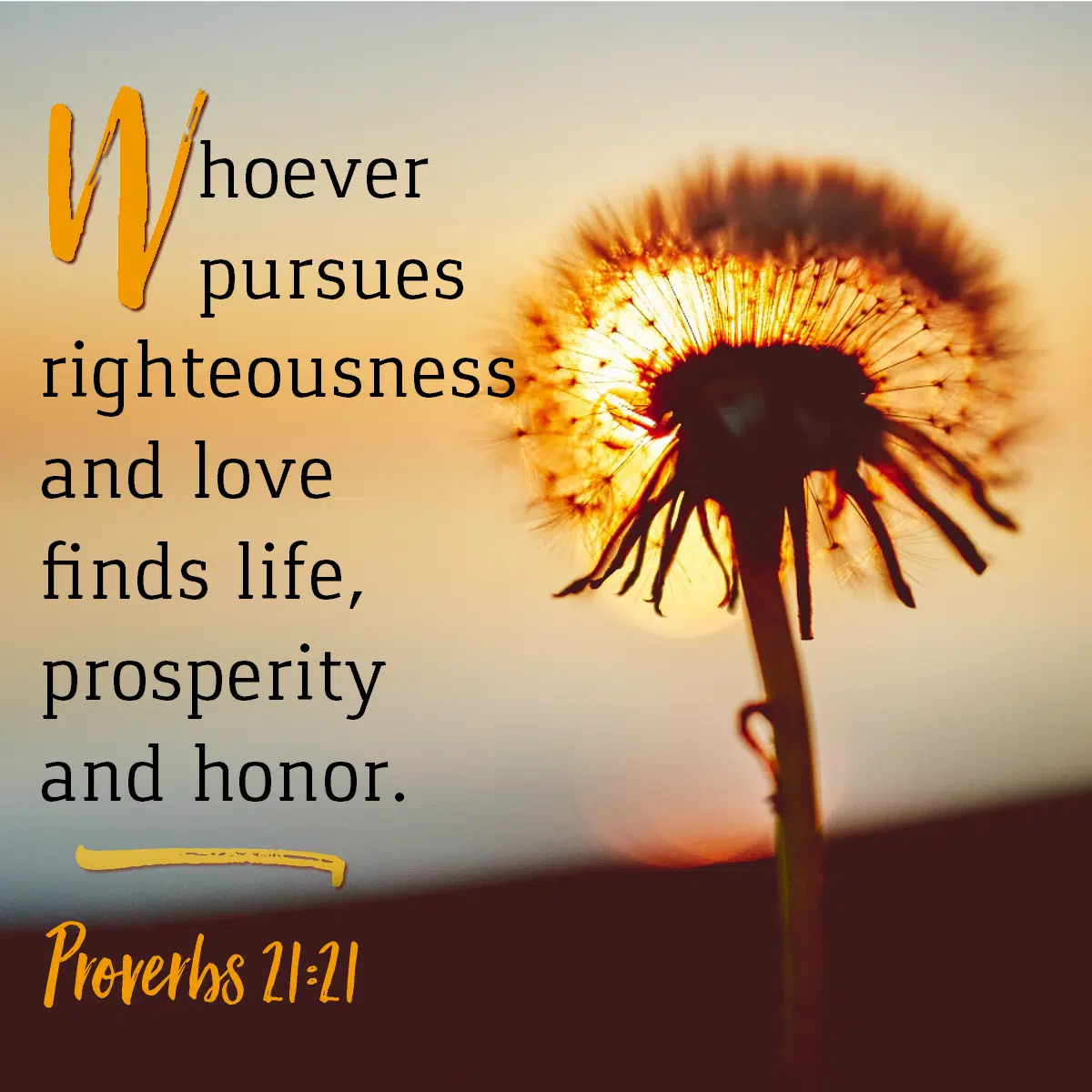 Image result for proverbs 21:21