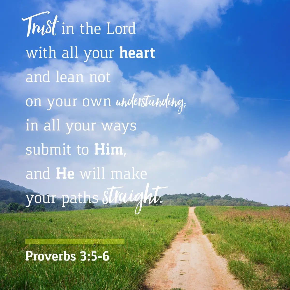 Proverbs 3:5-6 – Daily Verse | KCIS 630