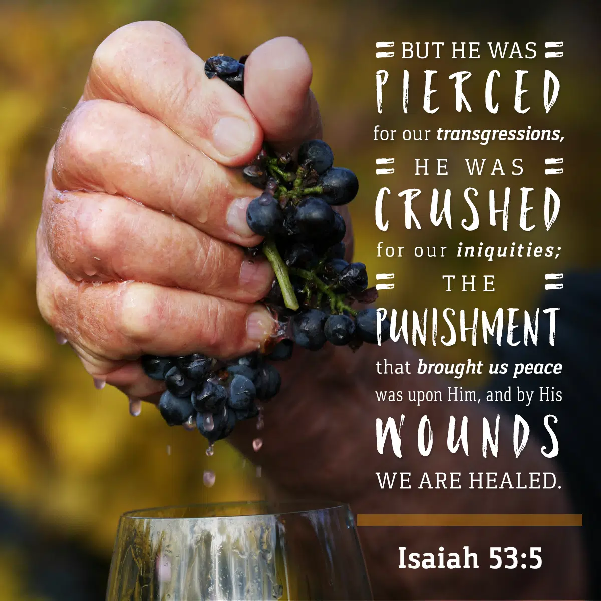 Isaiah 53 5 Daily Verse KCIS 630