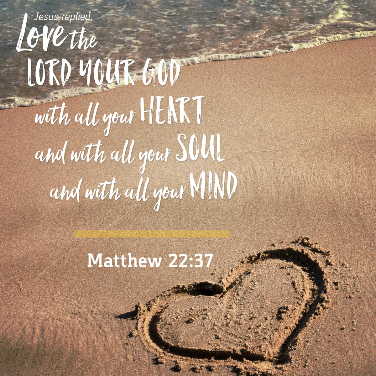 Matthew 22:37-39 Jesus said, “'Love the Lord your God with all