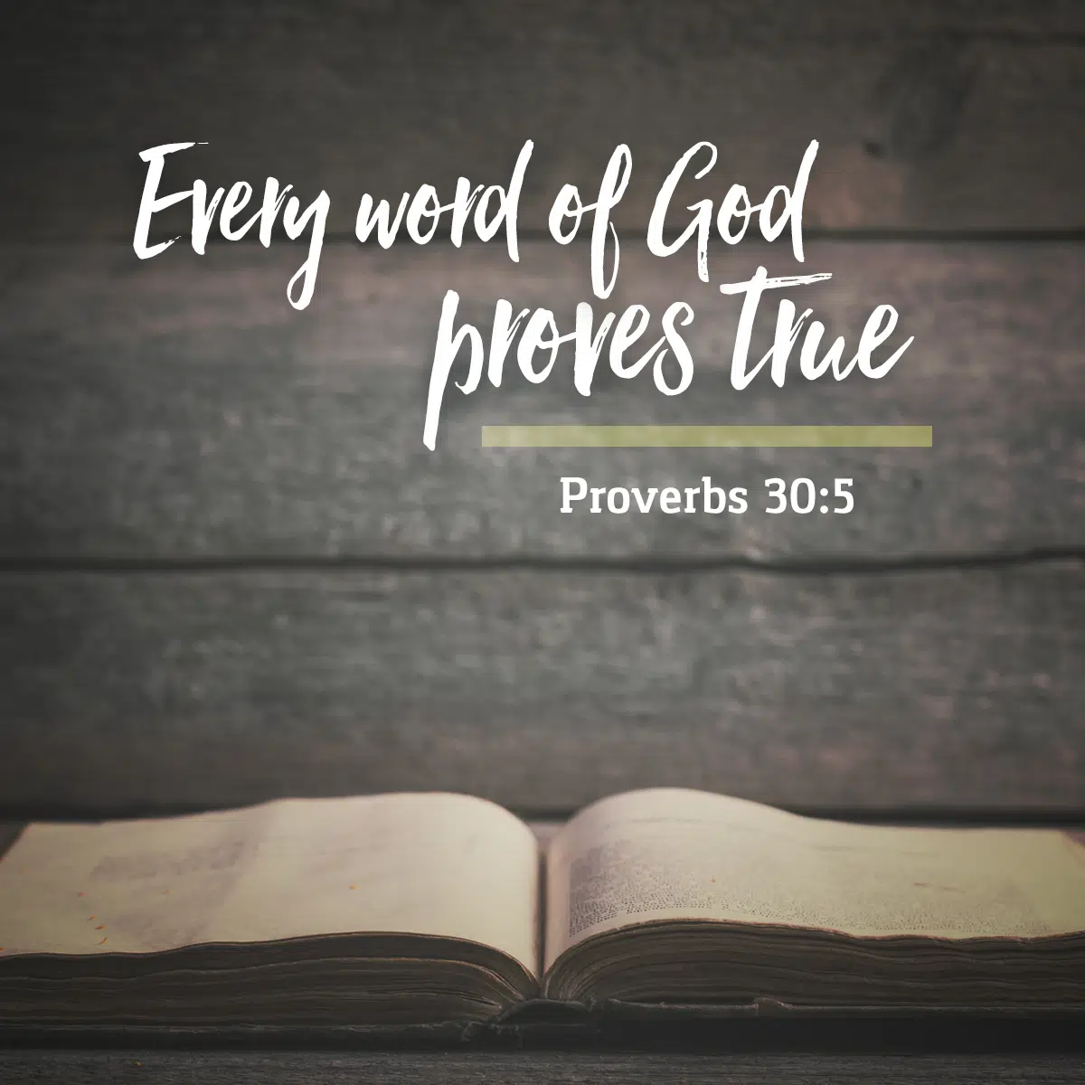 proverbs-30-5-daily-verse-kcis-630