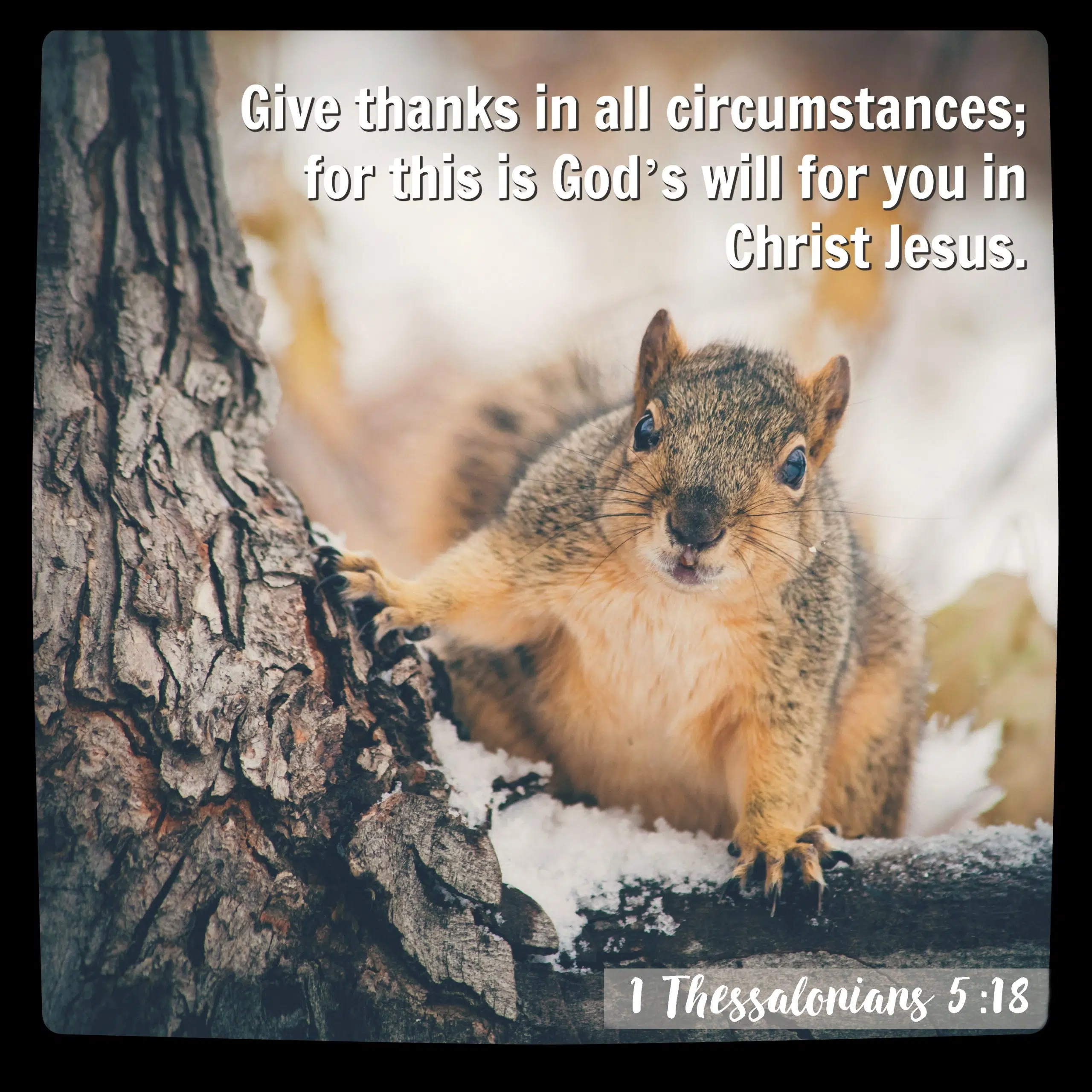 1 Thessalonians 5:18 | KCIS 630