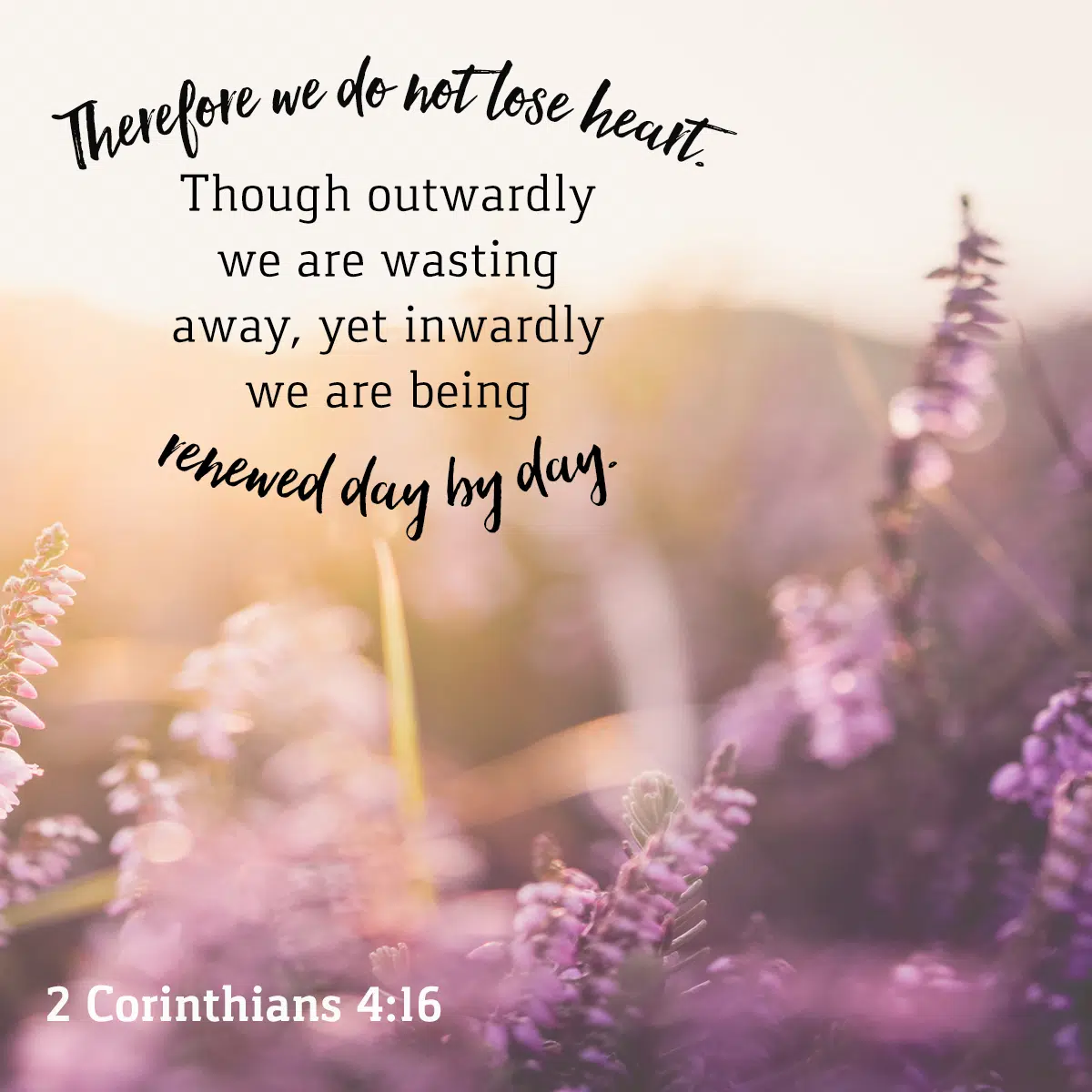 Image result for 2 corinthians 4:16