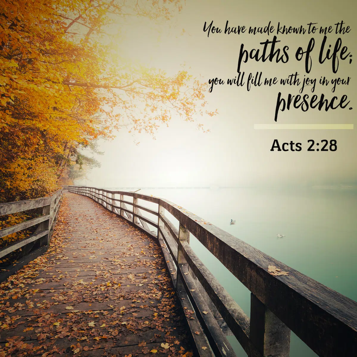 Acts 2:28 | KCIS 630