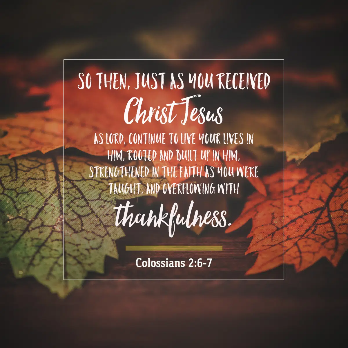 Image result for colossians 2 6-7