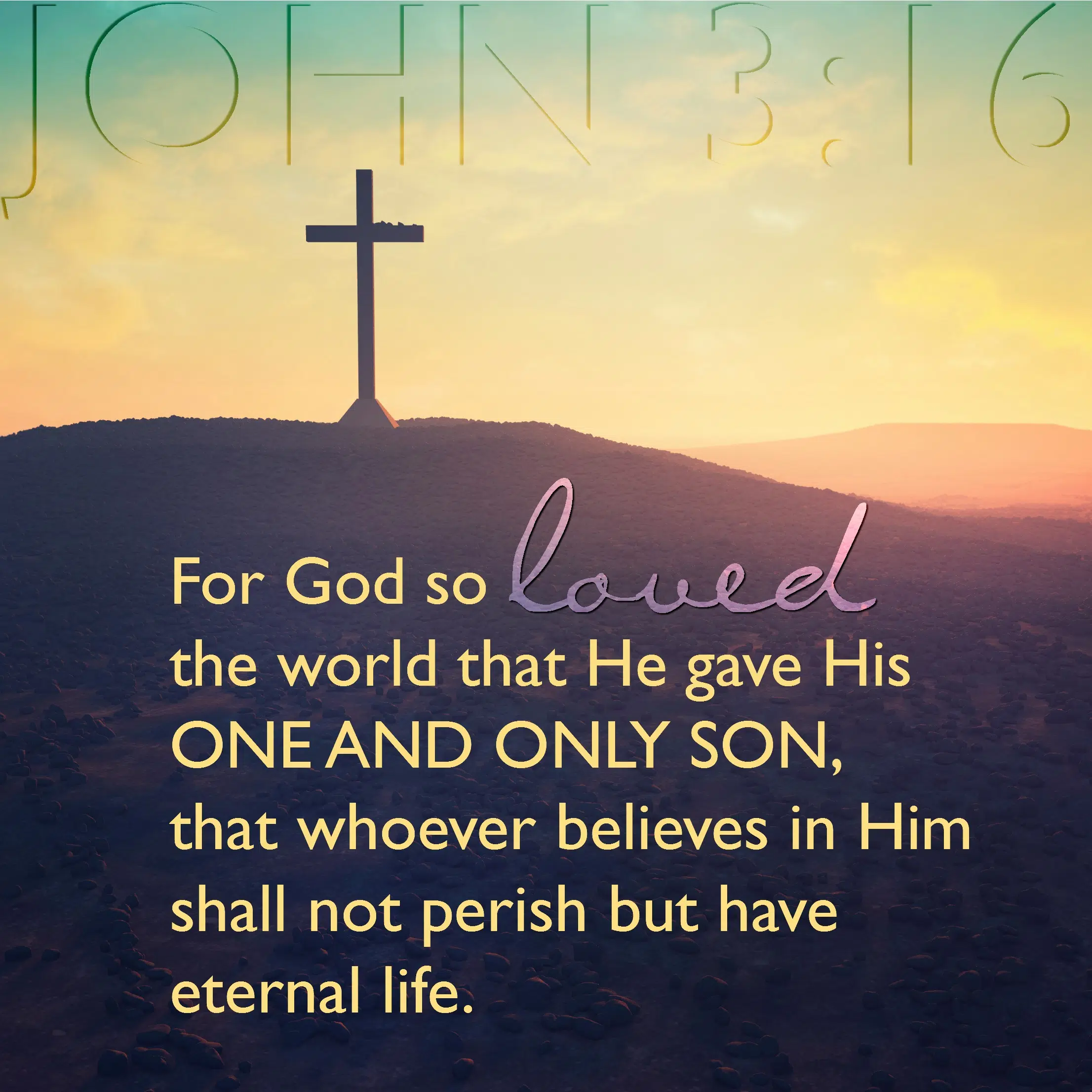 Daily Verse – John 3:16