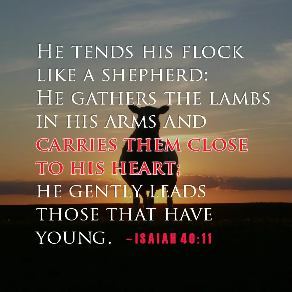 daily-verse-isaiah-40-11-kcis-630