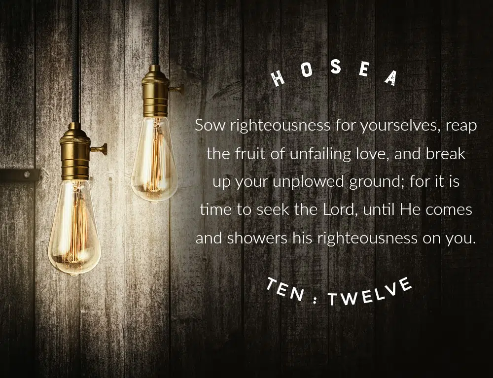 Daily Verse: Hosea 10:12