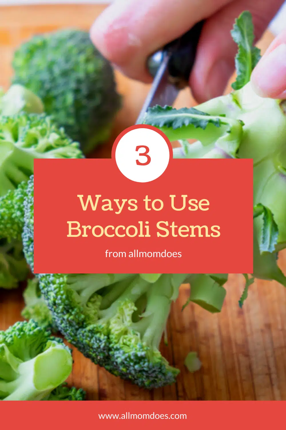 ways to use up broccoli stems