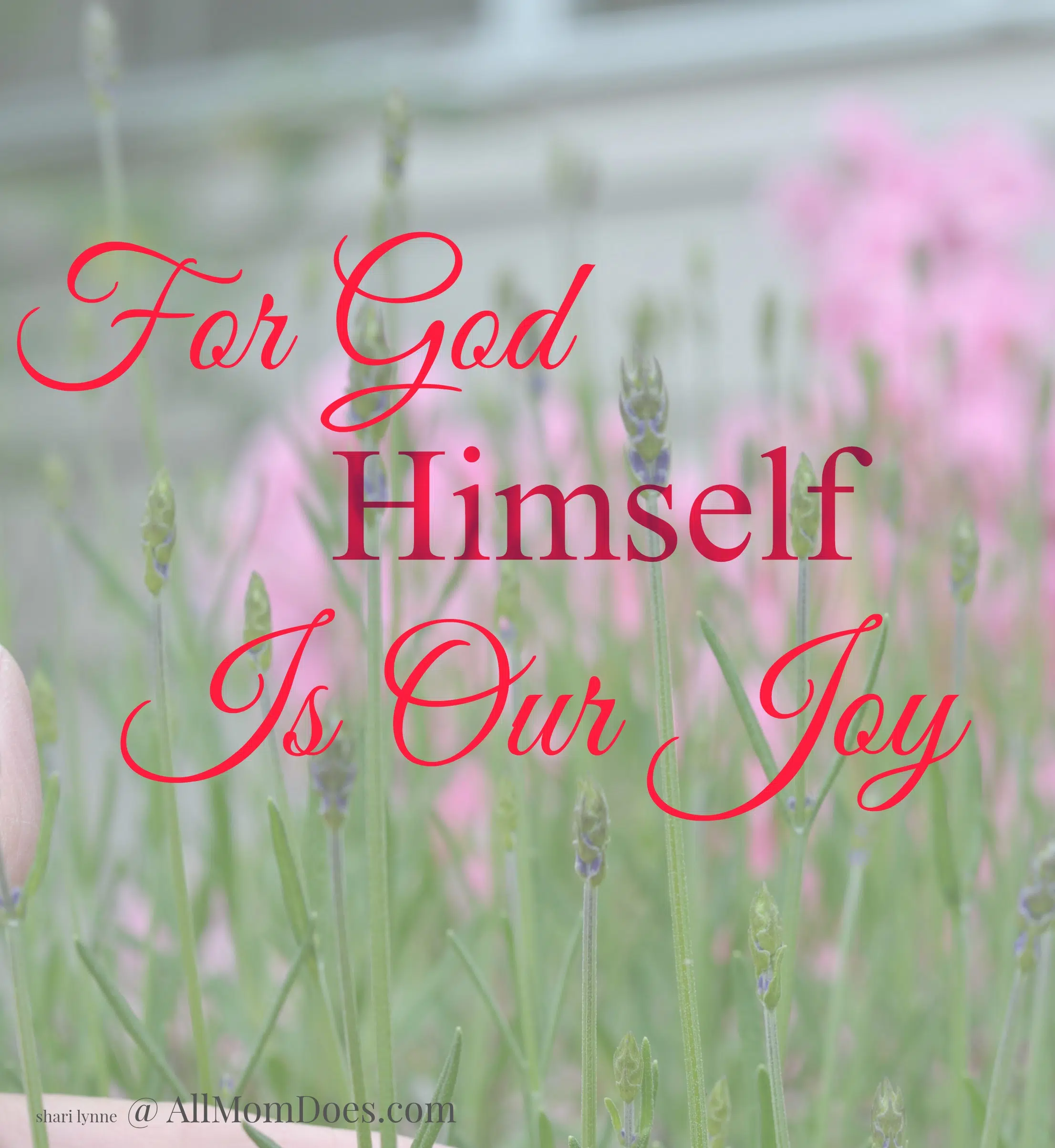 God Himself is Our Joy | AllMomDoes