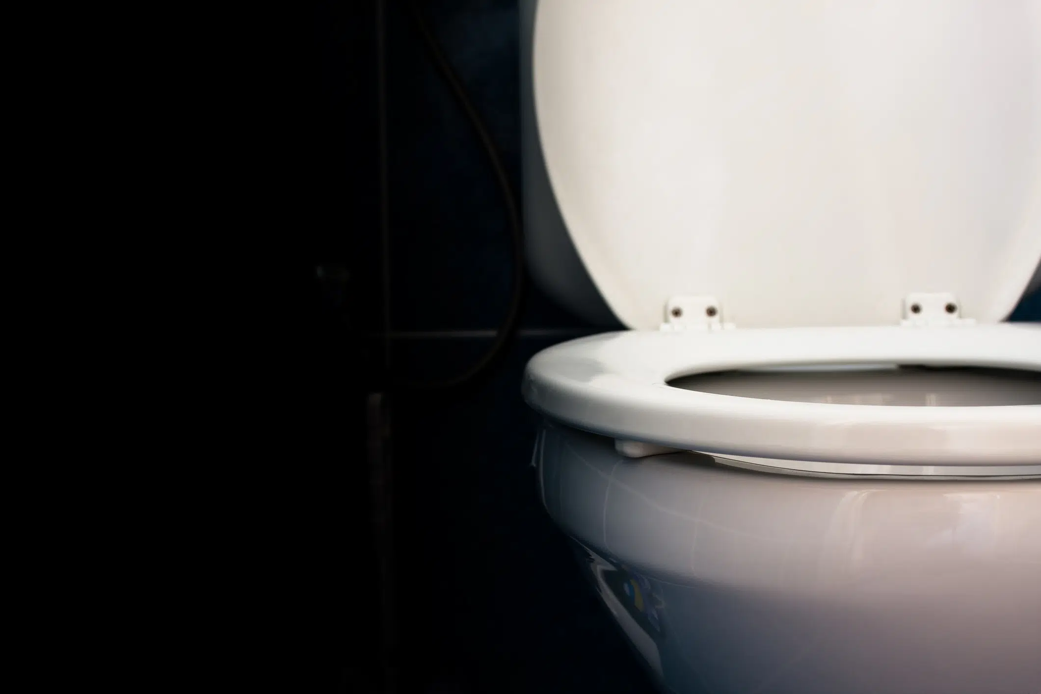Should Our Kids Use Toilet Seat Covers? AllMomDoes