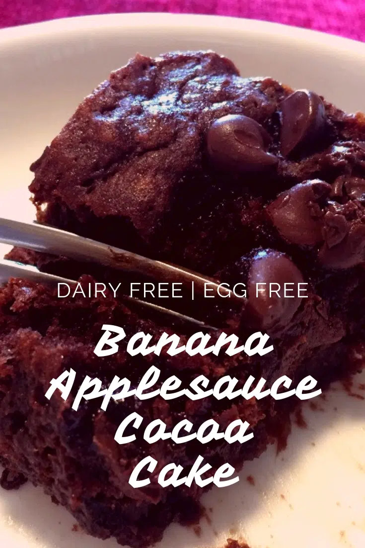 Banana applesauce cocoa cake - healthy recipe; dairy free cake; egg free