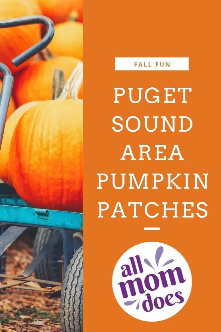A list of pumpkin patches and fall fun in the Puget Sound area including Seattle, Snohomish County, King County, Western Washington.