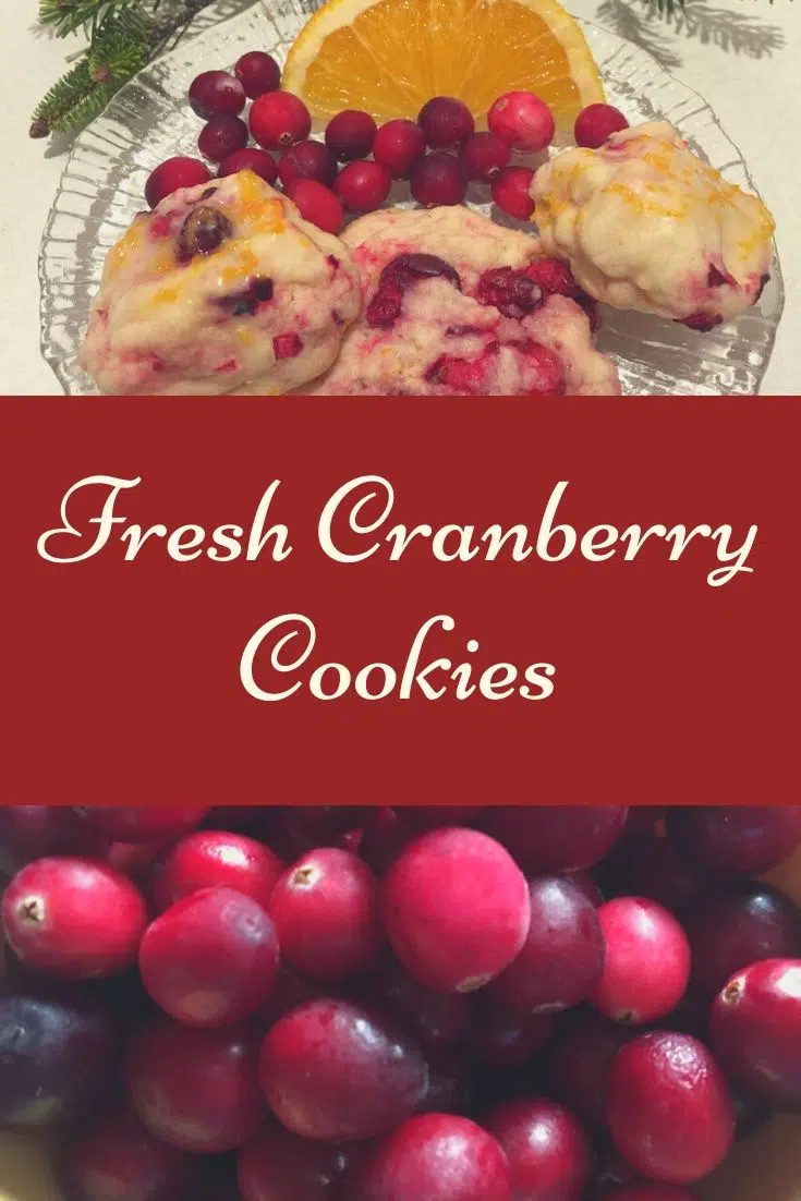 Fresh cranberry cookies - use up leftover cranberries with this recipe