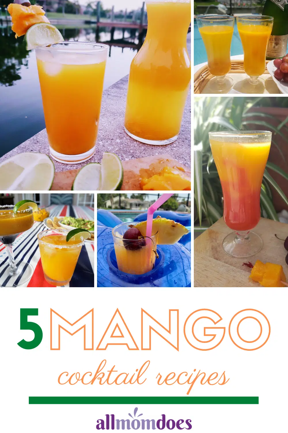 Mango Cocktail Recipe Ideas - refreshing cocktails and mocktails for summer!
