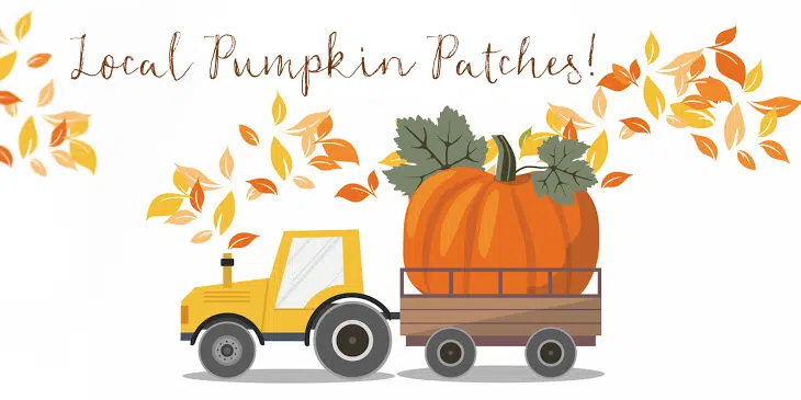 Local Pumpkin Patches to Pick From! | AllMomDoes