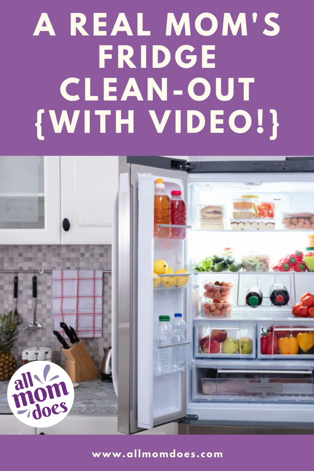 clean and organize refrigerator tips video