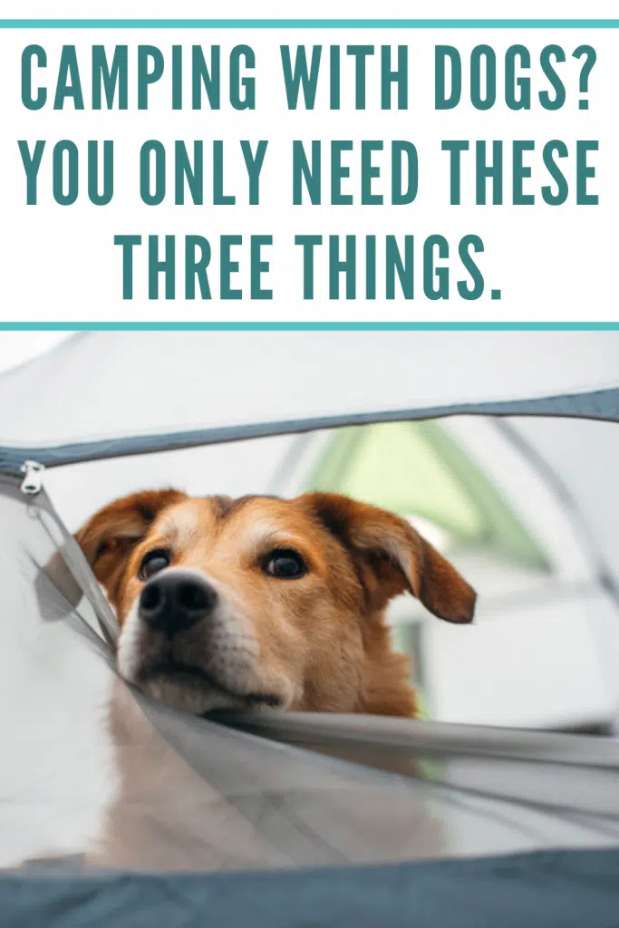 RV Camping With Dogs: Tips, Checklist, and Must-Haves