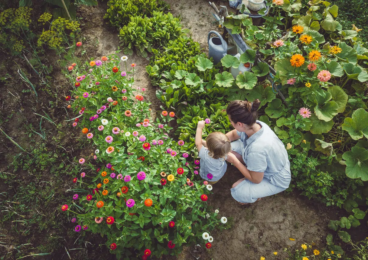 helicopter-gardener-jellyfish-what-kind-of-mom-are-you-allmomdoes