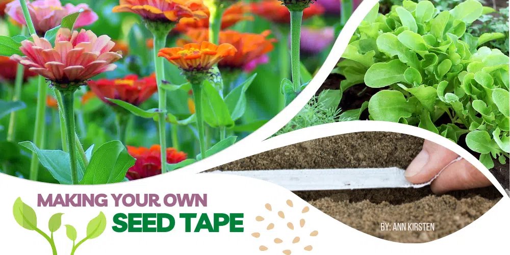 Making Your Own Seed Tape | AllMomDoes