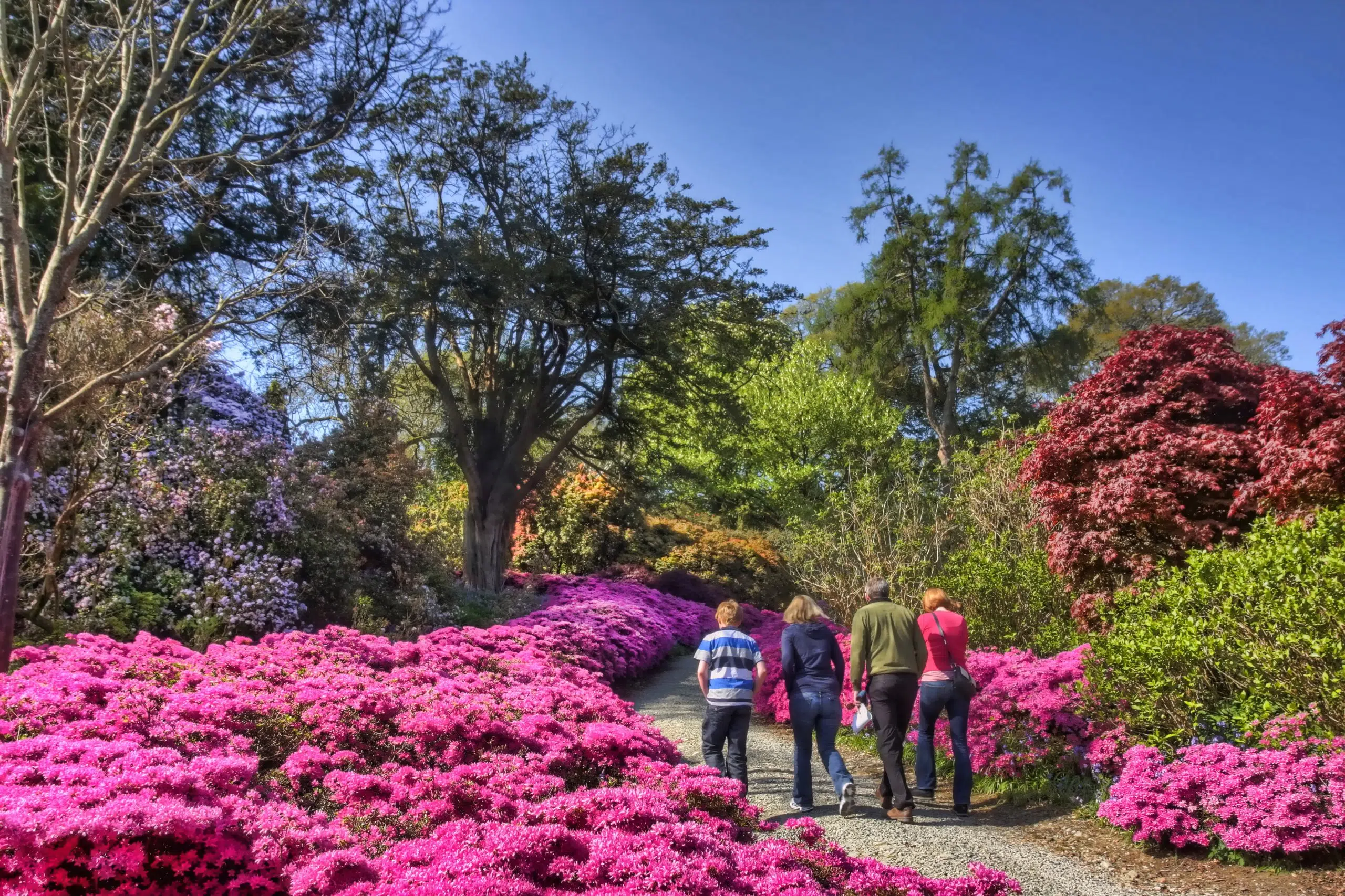 Mount+Congreve+named+as+a+partner+garden+by+Royal+Horticultural+Society