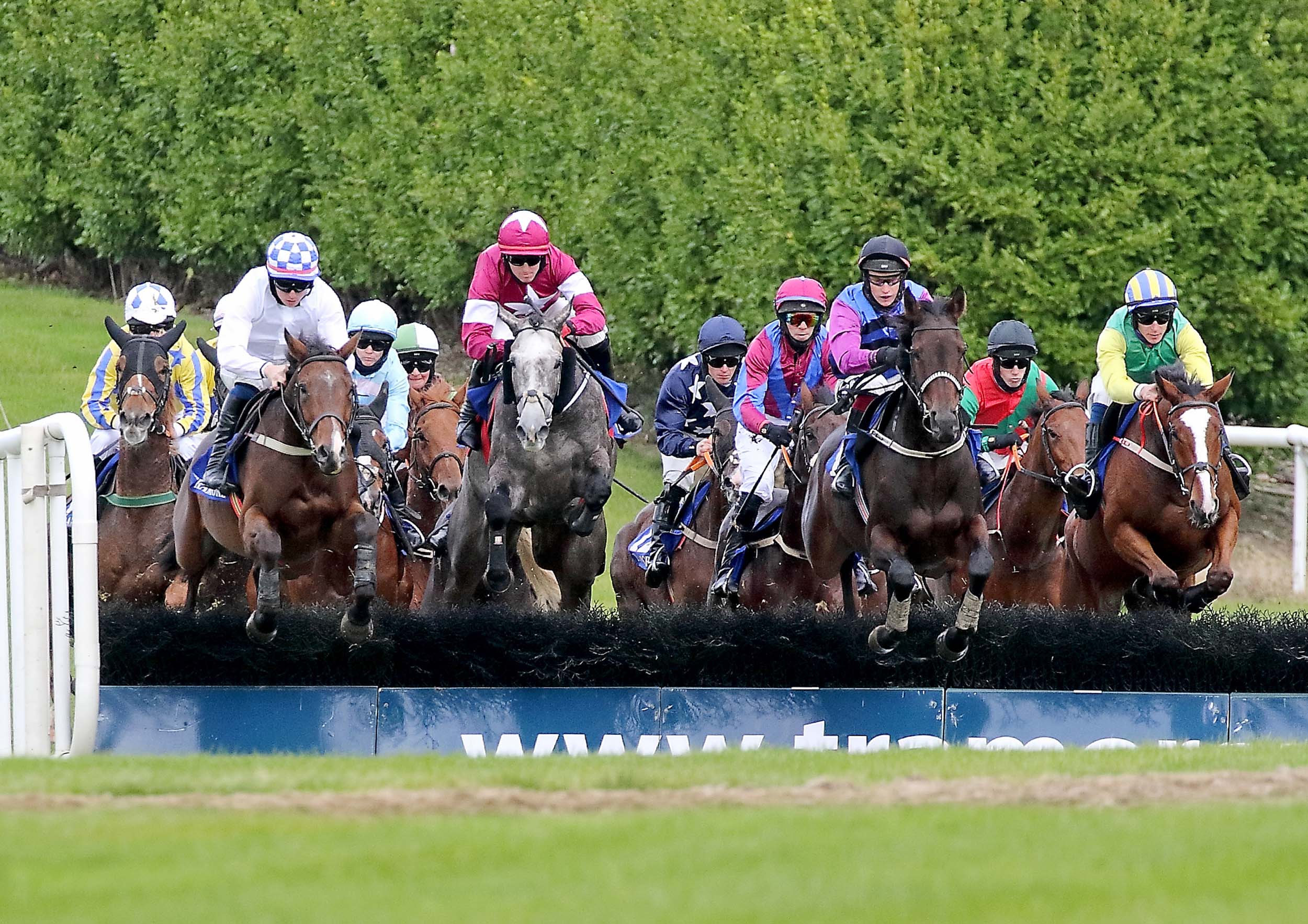 No shortage of local success at Friday's racing in Tramore - Vimarsana News
