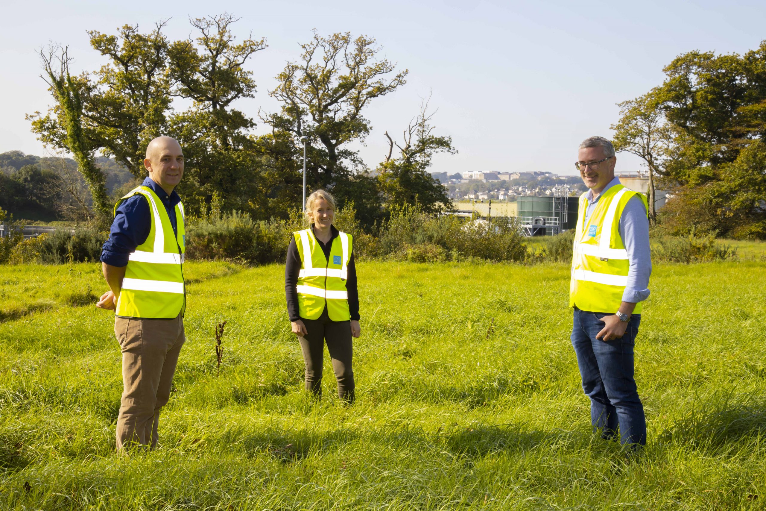 Pine martens and bee orchids return to Waterford site thanks to biodiversity plan - Vimarsana News
