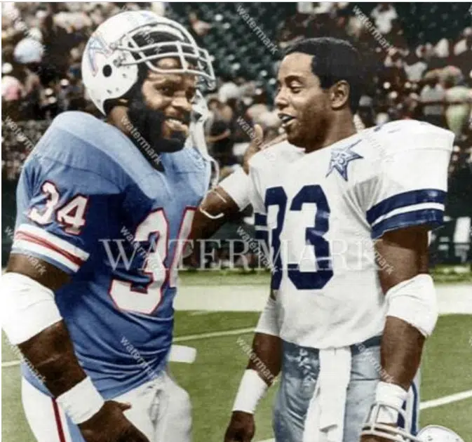 Dallas Cowboys #12 Roger Staubach and #33 Tony Dorsett by Donna Wilson