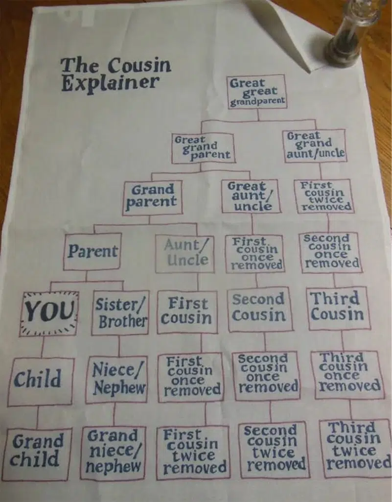 What does 3rd cousin once removed mean