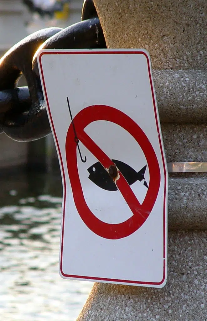 GILLty! Fishing Tourney Champs Caught Cheating Putting Lead Weights