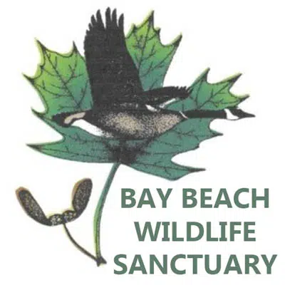 Bay Beach Wildlife Sanctuary expanding | WHBY