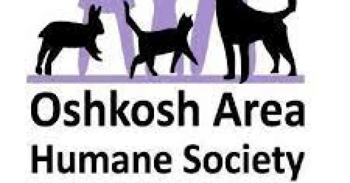 Oshkosh Area Humane Society overrun by cats WHBY