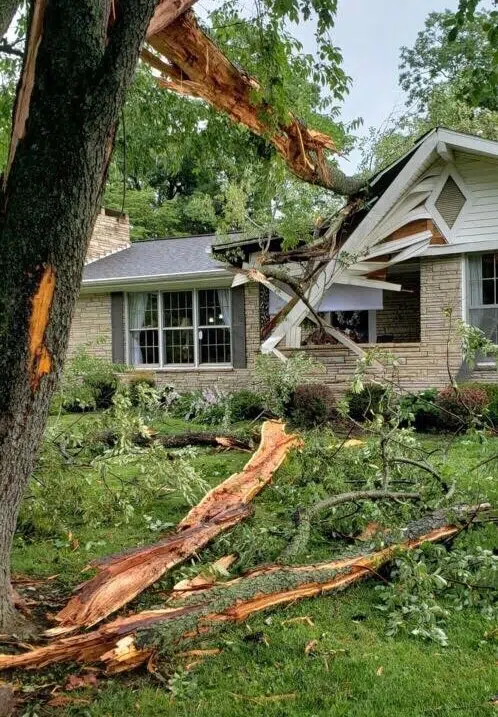 Lightning strike causes tree to fall on Hopkinsville home | WHOP 1230 AM   FM| News Radio