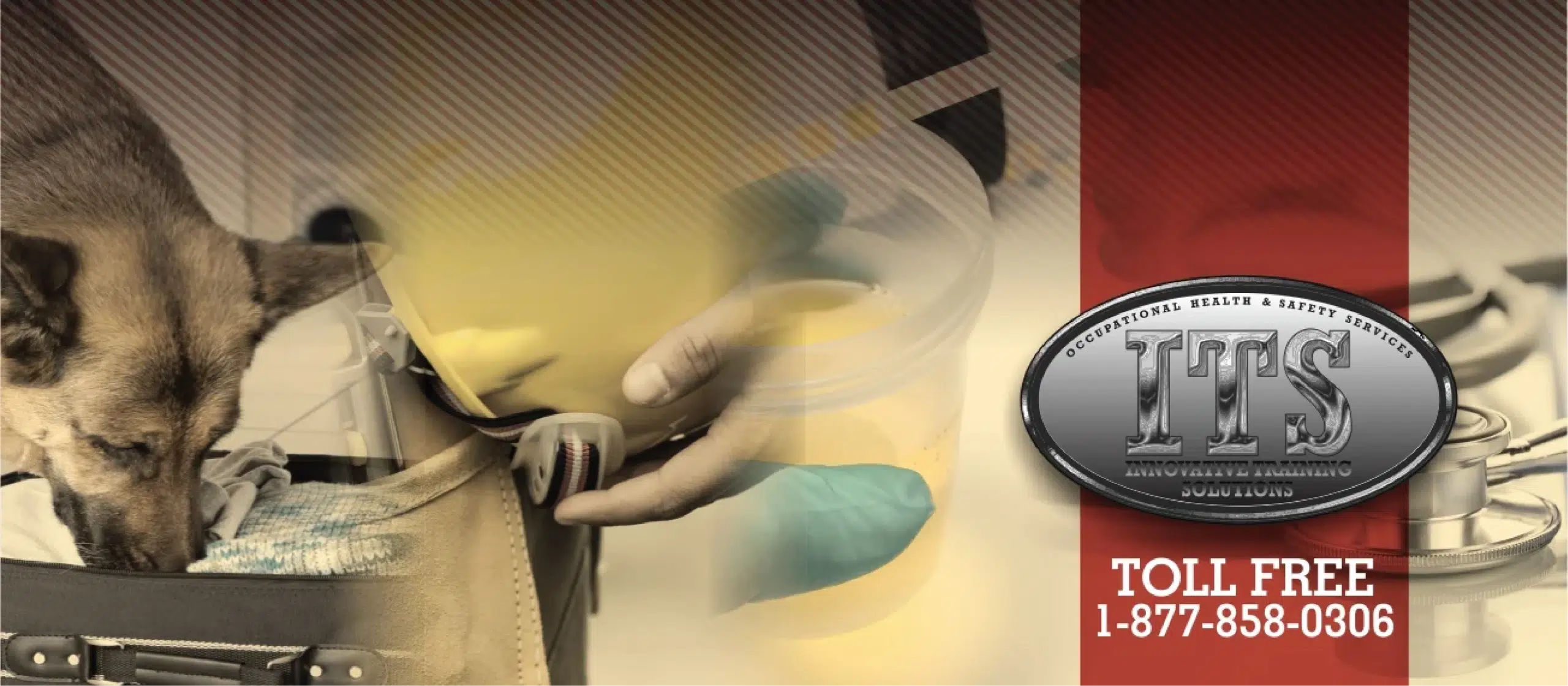 ITS Occupational Health & Safety